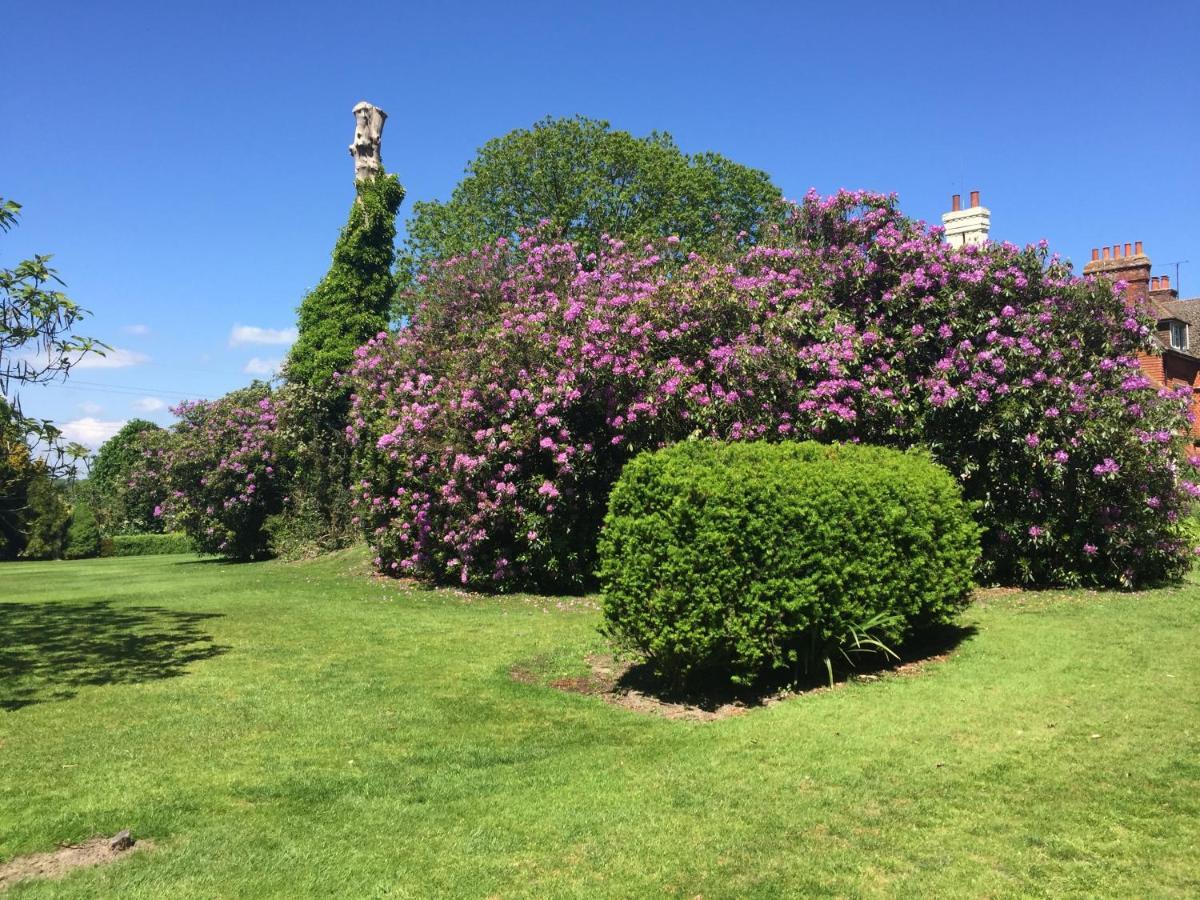 Wartling Place Country House Bagian luar foto