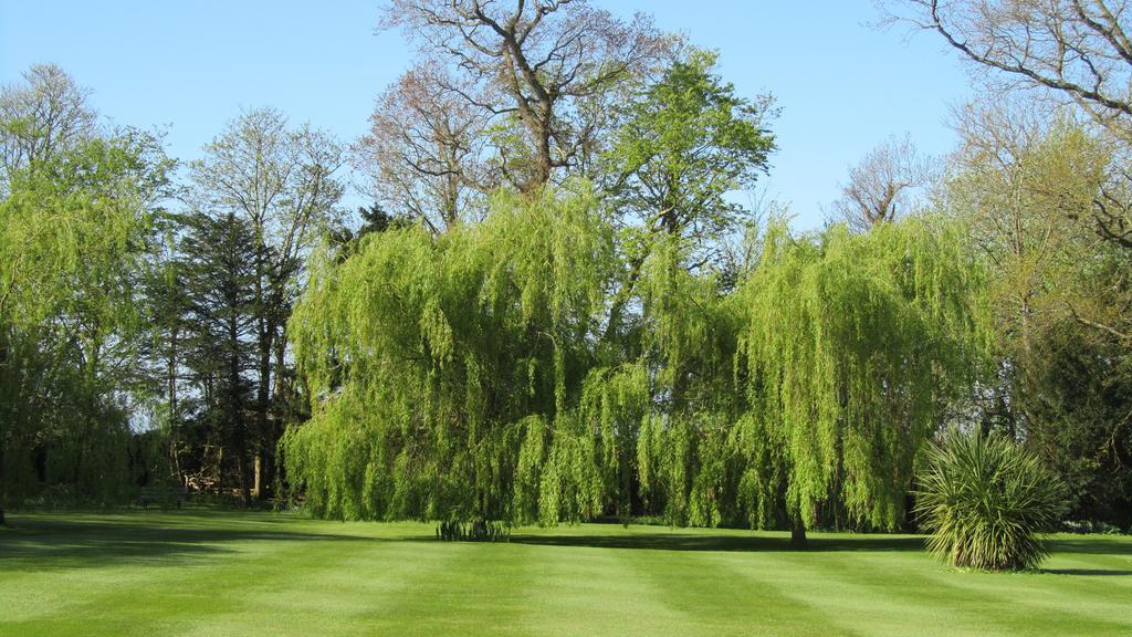 Wartling Place Country House Bagian luar foto