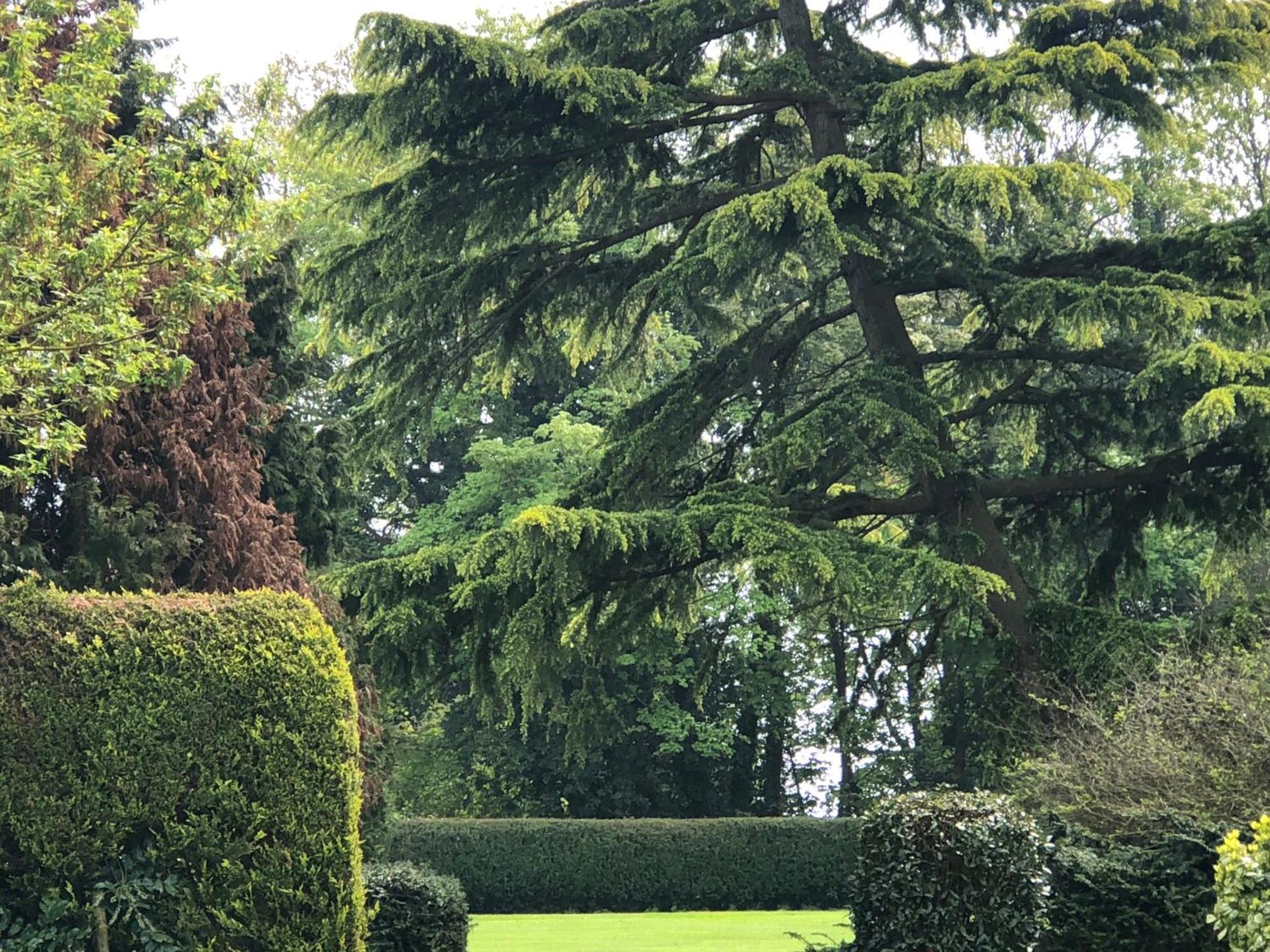 Wartling Place Country House Bagian luar foto