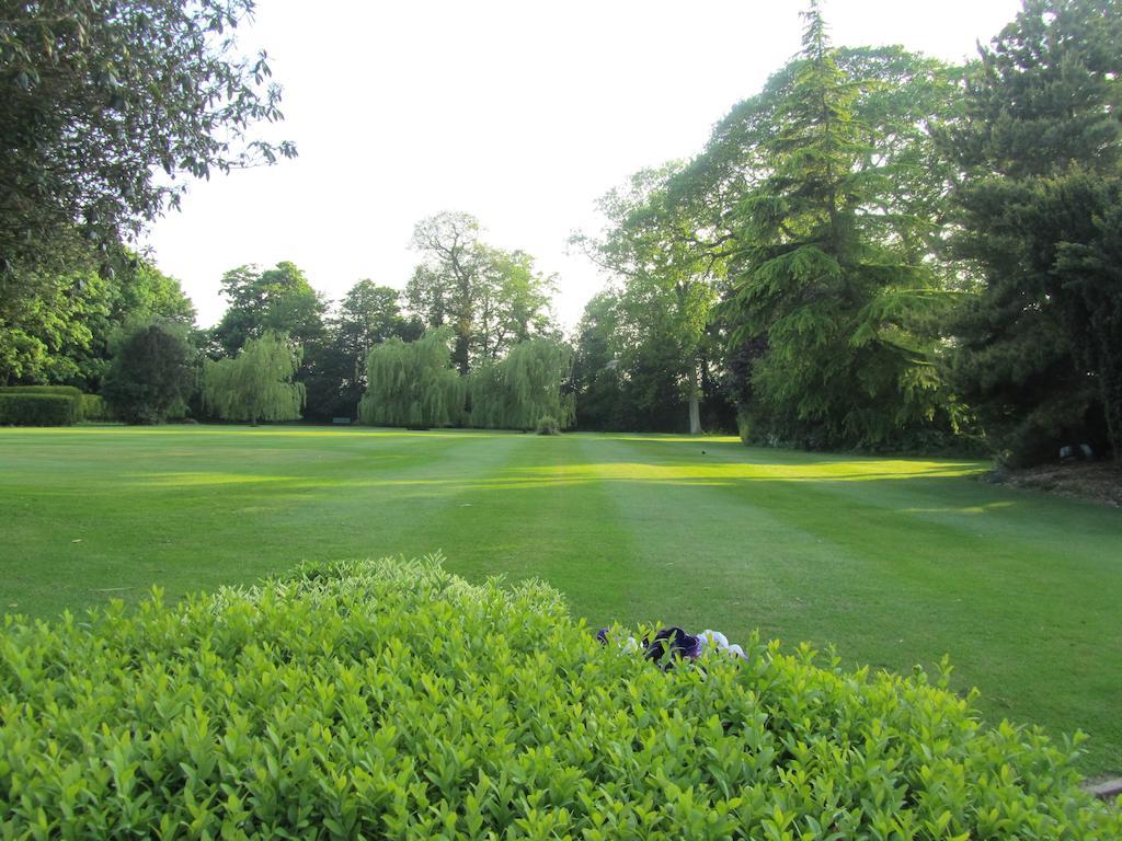 Wartling Place Country House Bagian luar foto